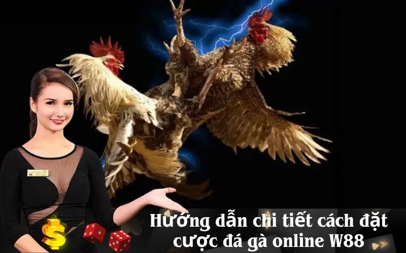 Hướng dẫn chi tiết cách đặt cược đá gà online W88