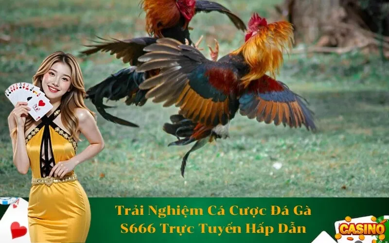 Trải Nghiệm Cá Cược Đá Gà S666 Trực Tuyến Hấp Dẫn