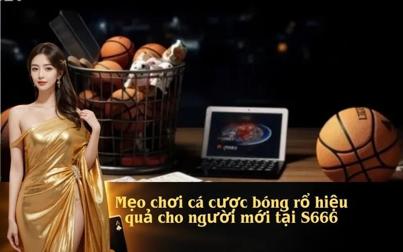 Mẹo chơi cá cược bóng rổ hiệu quả cho người mới tại S666