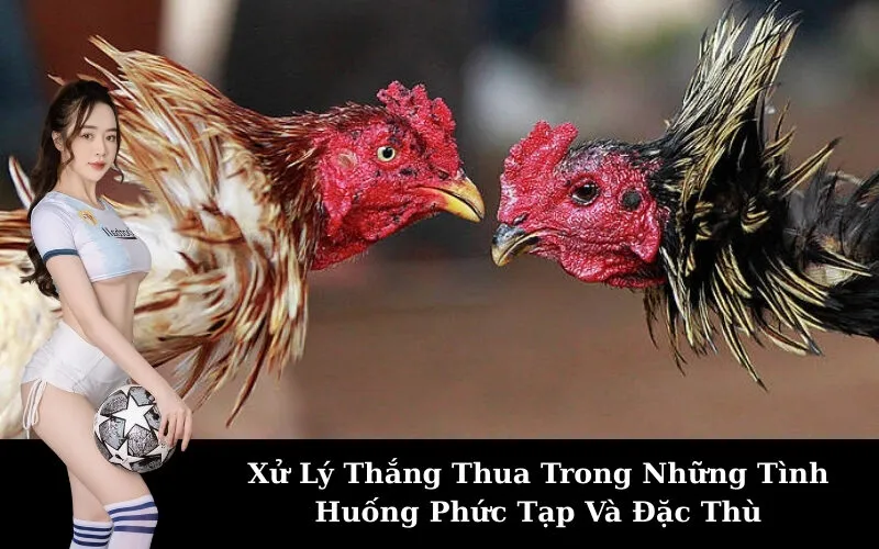 Xử Lý Thắng Thua Trong Những Tình Huống Phức Tạp Và Đặc Thù