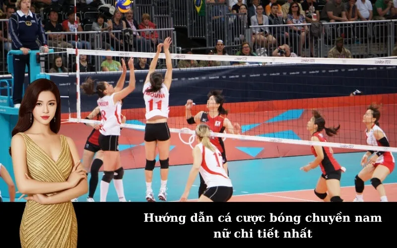 Hướng dẫn cá cược bóng chuyền nam nữ chi tiết nhất