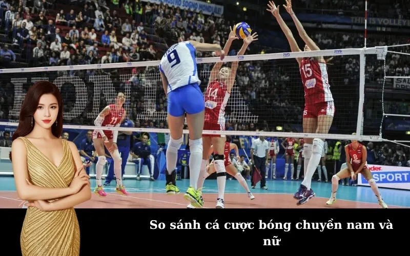 So sánh cá cược bóng chuyền nam và nữ